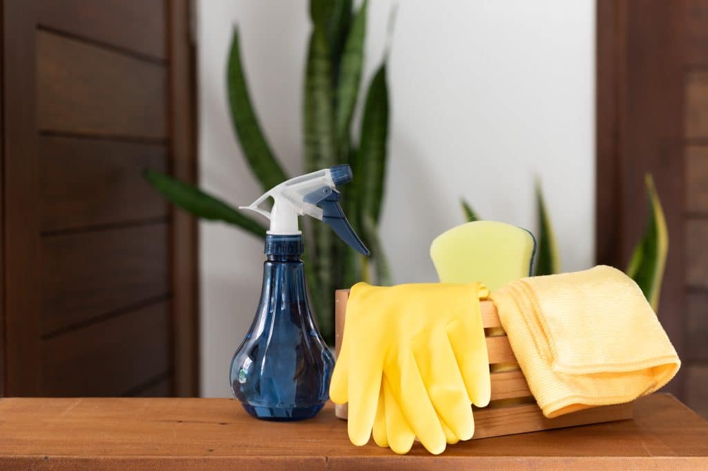 House Cleaning Services in Orlando
