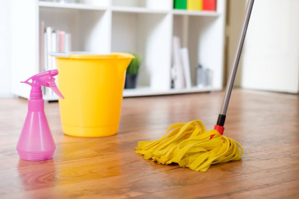 The Ultimate Bucket for Cleaning: Everything You Need to Know - NW Maids House  Cleaning Service